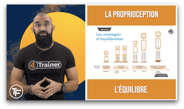 Formation proprioception