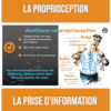 formation proprioception