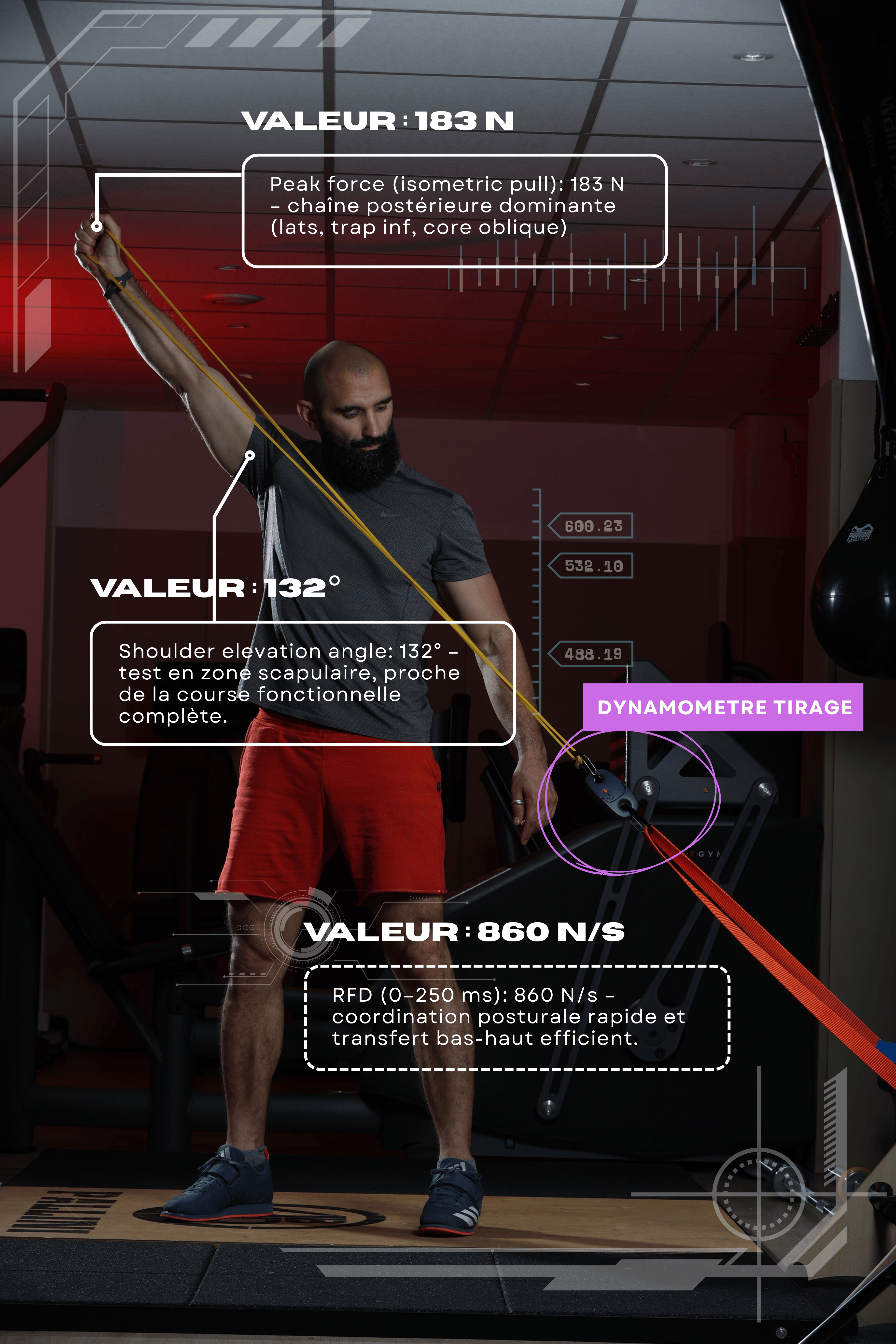 Plateformes de force